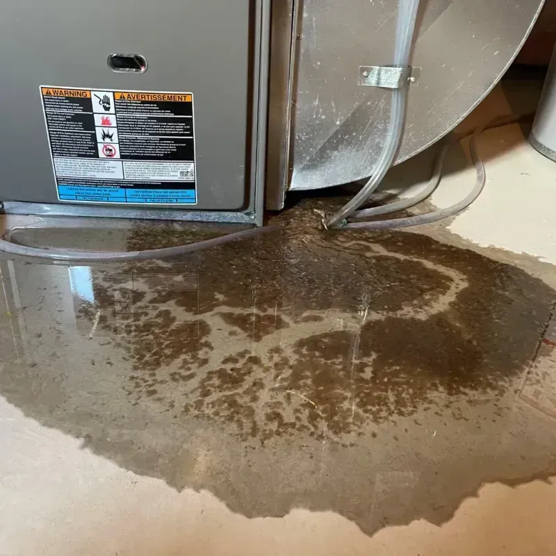 Appliance Leak Cleanup in Kiel, WI